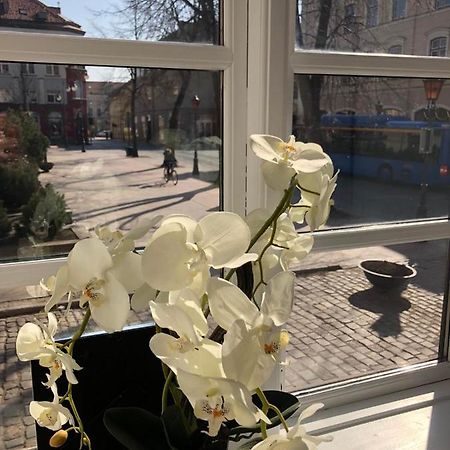 Tiltu 5 Jacuzzi Apartment Klaipėda Dış mekan fotoğraf