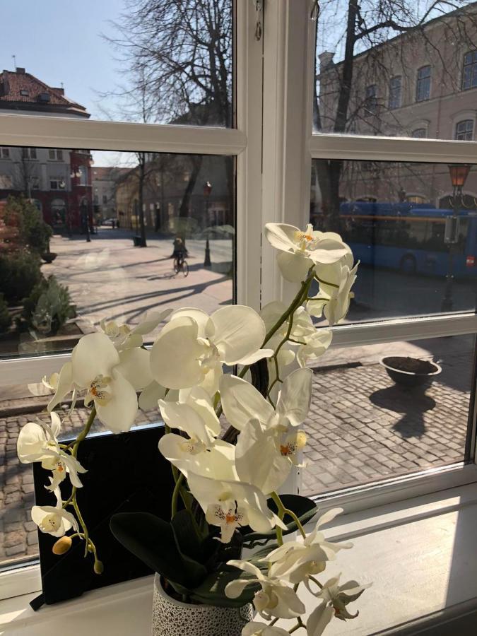 Tiltu 5 Jacuzzi Apartment Klaipėda Dış mekan fotoğraf